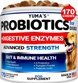 Probiotics for Dogs and Digestive Enzymes 170 Dog Probiotics Chews Pet Fiber Supplement Anti Diarrhea Upset Stomach & Gas Relief Constipation Can