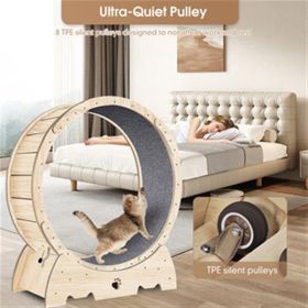 Indoor Cat Sports Wheel (Option: Wood)